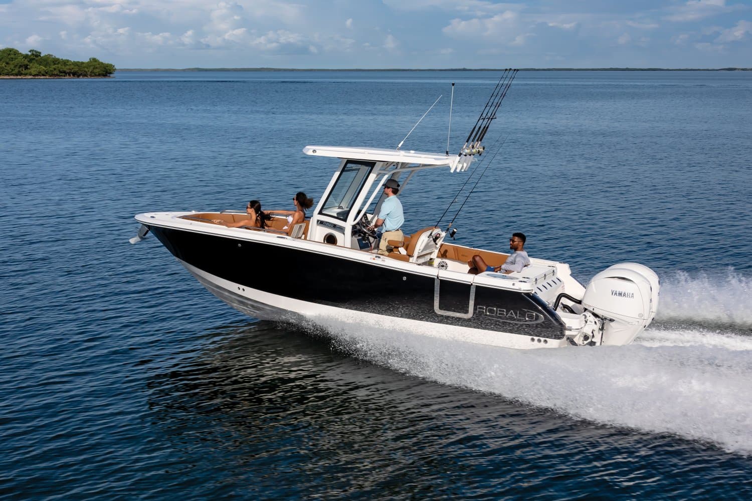 2026 Robalo R250