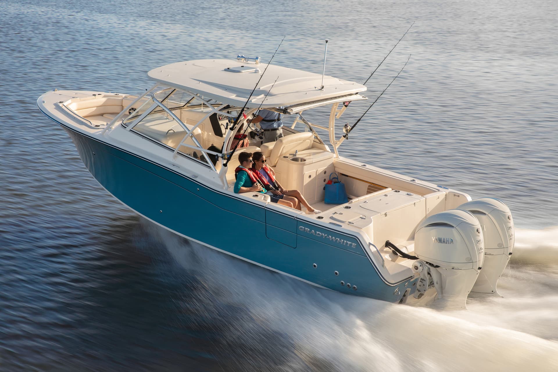 Freedom 307